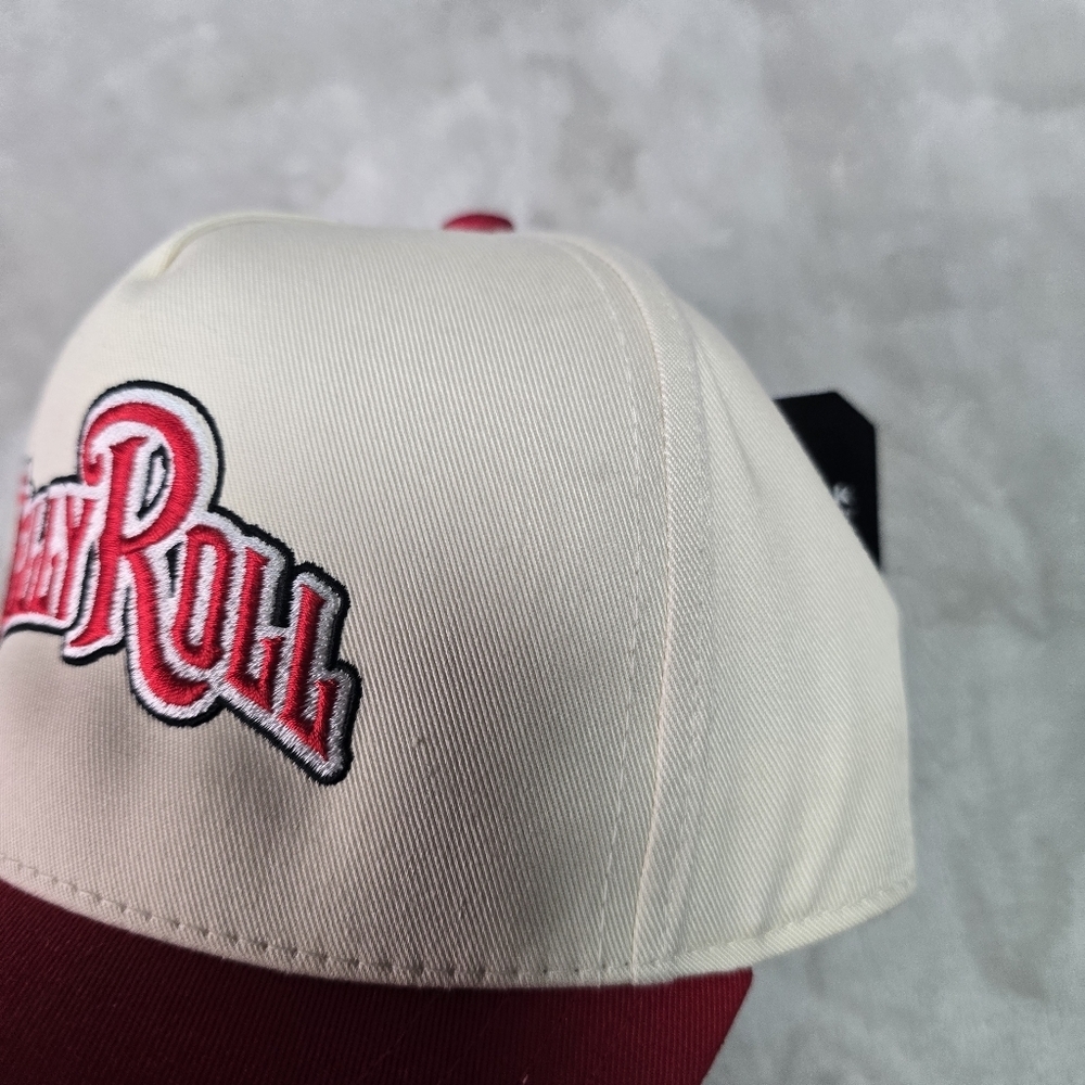 NWT Rare Jelly Roll UFC Snap Back - Picture 5 of 6